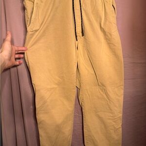 American Eagle Outfitters Tan Joggers